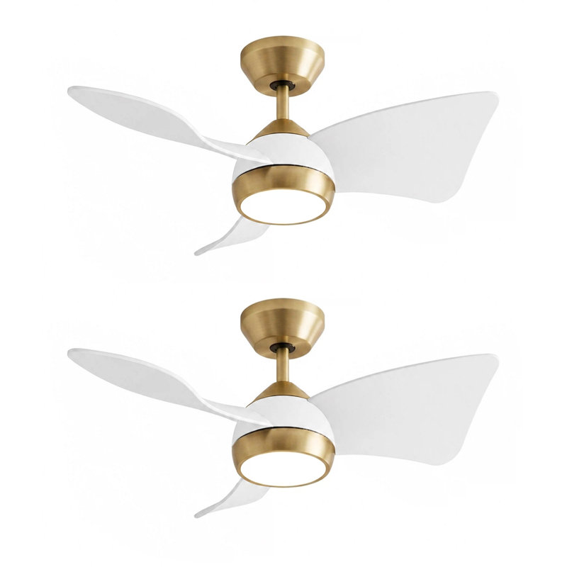 Ventilateur de plafond de 30 pouces, Gold, White