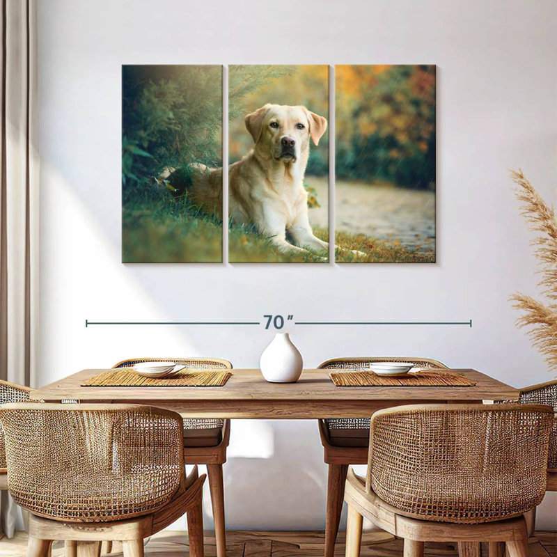 Brampt Labrador Retriever Mix, H 36 po x l 57 po