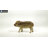Wild Baby Boar Standing