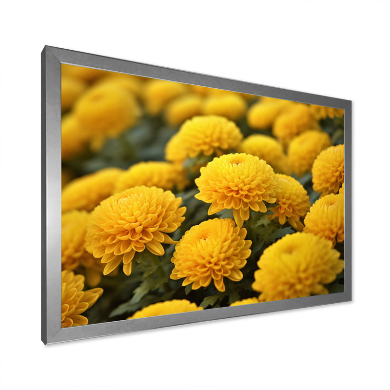 «Yellow Mums in Bloom I» sur toile, Cadre simple argenté, H 12 po x l 20 po x P 1 po
