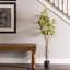Arbre 4 'Cotinus Coggygria-20583849