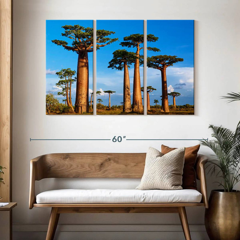 Morondava, forêt de Baobab, H 32 po x l 50 po
