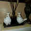 Customer photo 2 of 4