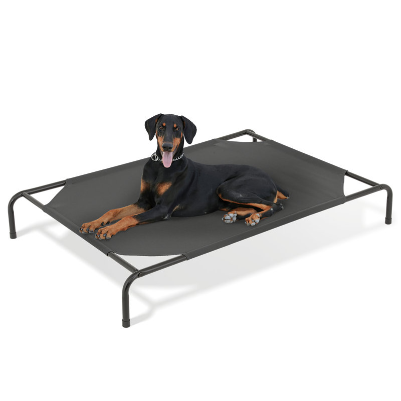 Small Navy Blue Elevated Outdoor Dog Bed with Steel Frame