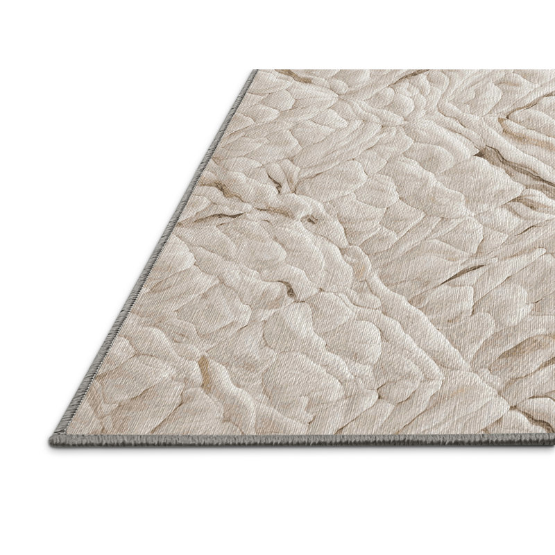 Tapis gris lavable à la machine, Rectangle 5 pi x 7 pi