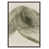 Noyer