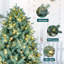 Arbre de Noël artificiel épinette bleu pré-éclairé-696909636