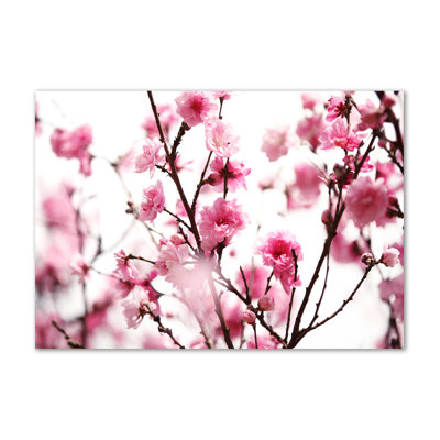 Plum Blossom - Wrapped Canvas Print