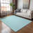 Premium Machine Washable Paullette AMF137 Aqua Rug-1568356039