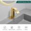 Robinet de salle de bain Hoimpro en or brossé à cascade simple, robinet de meuble-lavabo à levier unique en acier inoxydable avec drain, tuyau cUPC et plaque de pont