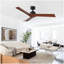 Ventilateur de plafond 52 po noir Lowe