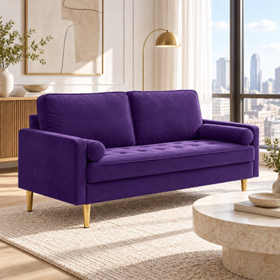 Moniet 66.9 " Velvet Loveseat