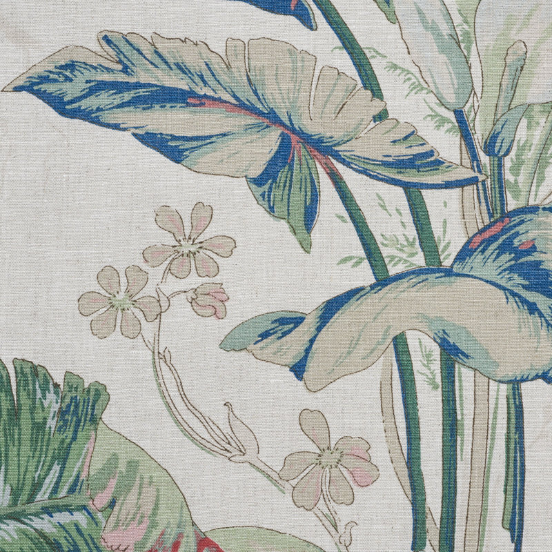 Tissu tropique, Doument