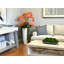 Orchid Arrangement with Cactus in Fiberstone Planter-292671249
