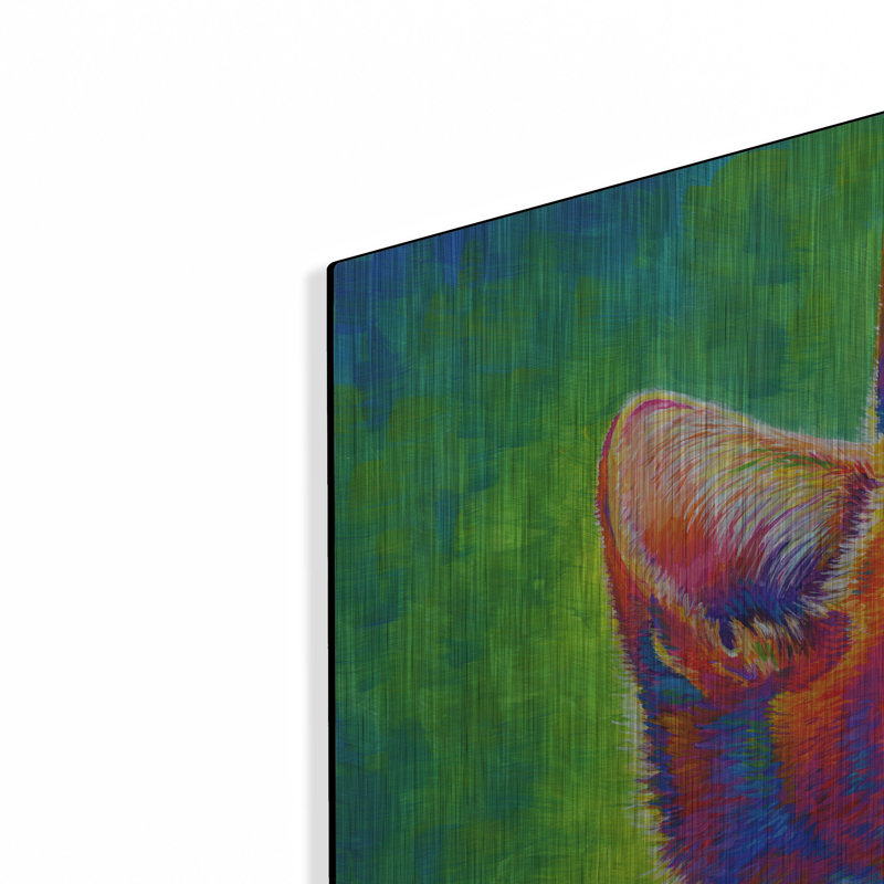«Rainbow Cat» par Rebecca Wang Art, H 24 po x l 36 po