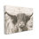 Photographie de la vache Highland, par Nathan Larson