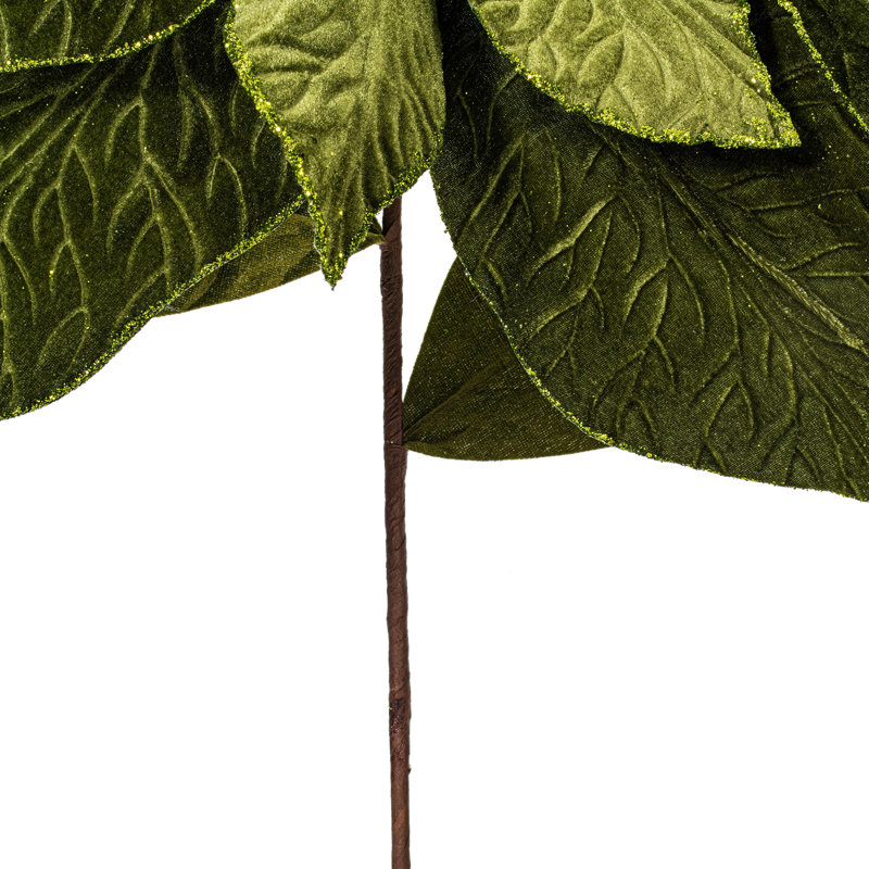Tiges de poinsettia, Vert