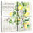 Yarlin Orchard Lemon Grove II-109122746