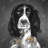 Beautiful English Springer Spaniel - Framed Matted Print
