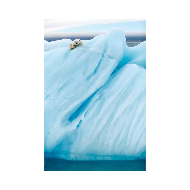 Observing 1 Piece Wall Art on Canvas, 66.04cm H x 45.72cm W x 1.91cm D, Wrapped Canvas