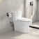Grosofi 1.1/1.6 GPF Dual Flush Compact Elongated One-Piece Toilet in White for Space Saving (Seat Included)