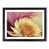 Black Framed selected
