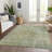 Machine Washable Indoor/Outdoor Claudian ACN1237 Sage Rug-103708900