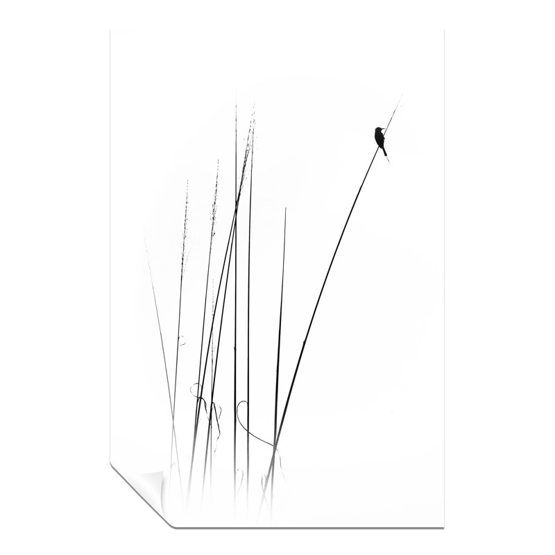 Bird Silhouette - No Frame Print, 31cm H x 20cm W