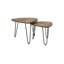Novalee Nesting Tables