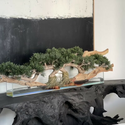 Faux Bonsai Tree in Planter, Dark Green, 10" H x 40" W x 8" D