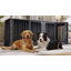 Meuble de rangement pour chien 86,6 po L pour 2 chiens, chenil robuste pour petits / moyens / très grands chiens-1456062563