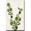 Botanical Wash III par Conrad Knutsen - Peinture-796944313-796944312