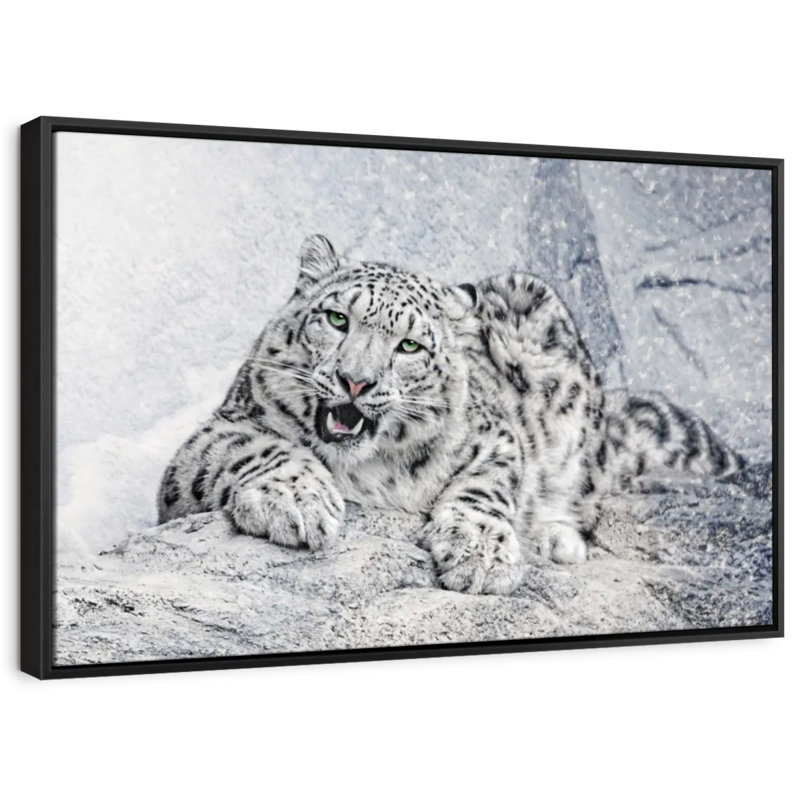 Impression sur toile Snow Leopard In Blizzard, H 25 po x l 37 po