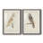 " Barn Owl " 2 - Pieces-458607452-458607451