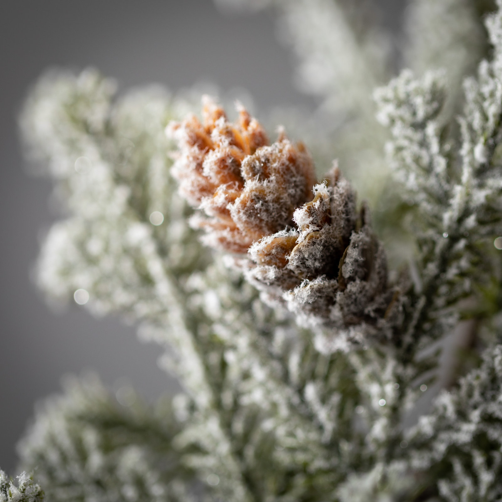 Pine Floral Stems