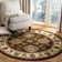Klose Performance Oriental Rug