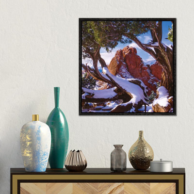 Framed By Nature by Bill Sherrell - Gallery-Wrapped Canvas Giclée on Canvas