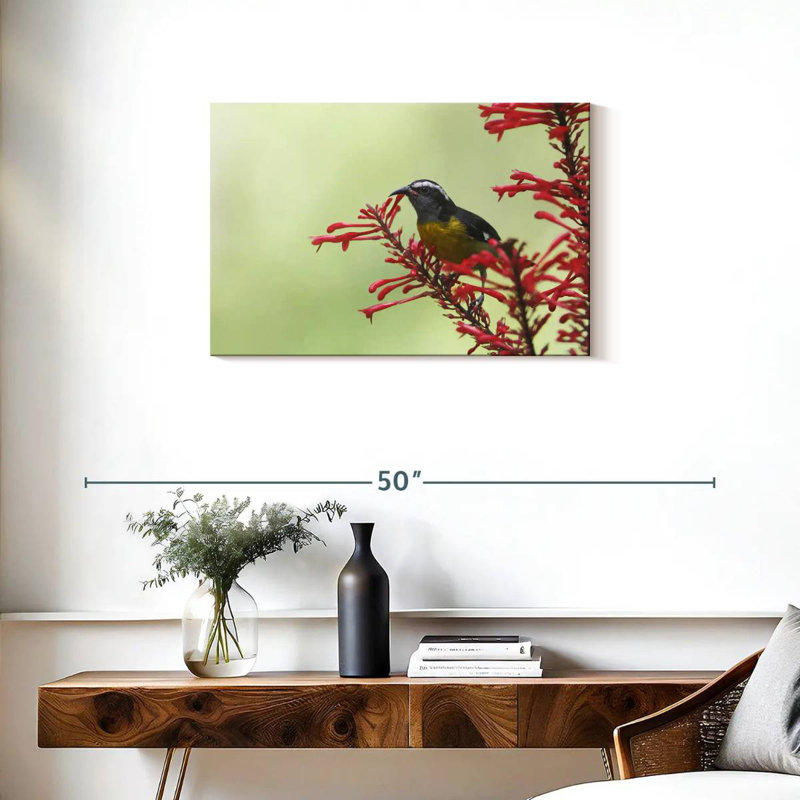 Ronce nourrissant un oiseau bananier, H 20 po x l 30 po