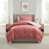Flamant rose / pierre de nuage