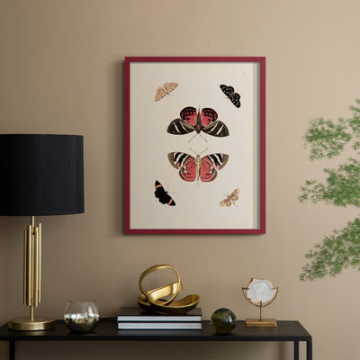 Reproduction encadrée d'un animal vintage XLV III - bois massif