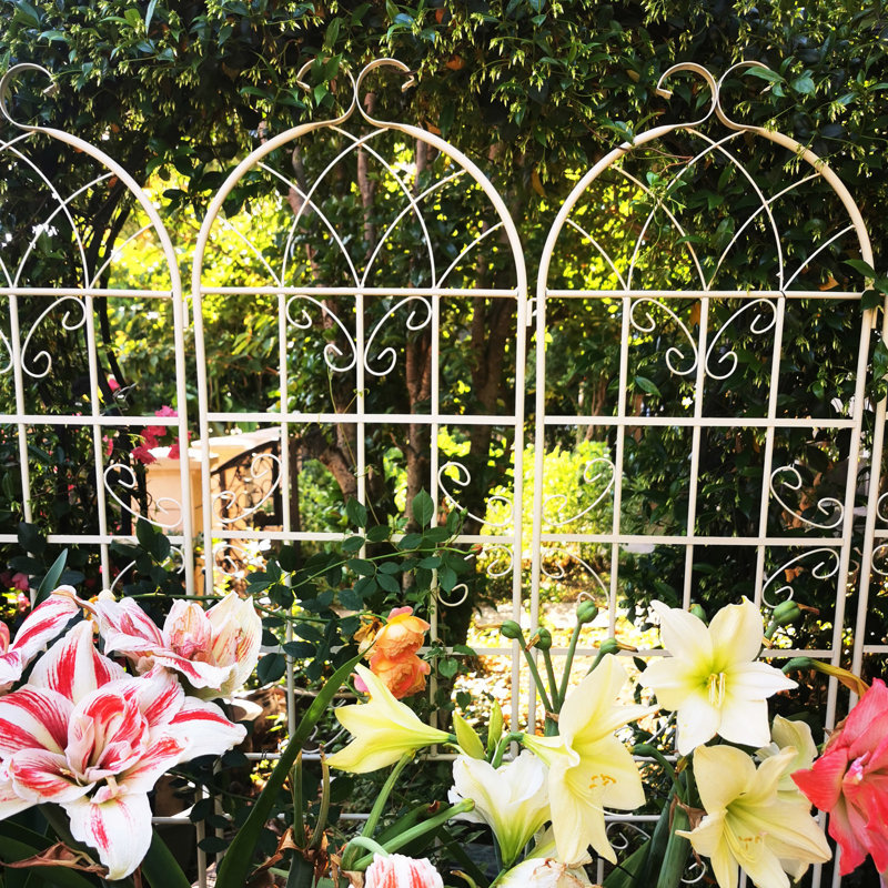 Treillis de jardin en métal 86,7 po x 19,7 po, paquet de 2, rouille blanc crème, pour plantes grimpantes, raisin, haricots, lierre à installation simple, pois