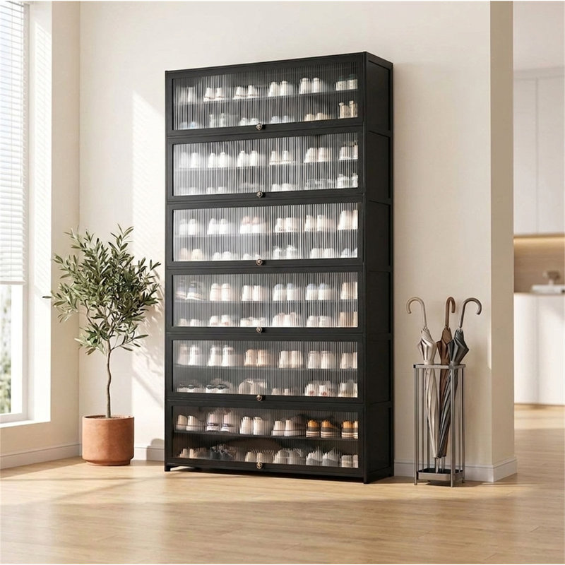 Modern Shoe Cabinet with Flip Doors