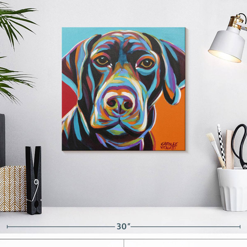Brampt Dog Friend II, H 16 po x l 16 po