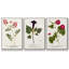 Lodge Pun I - Ensemble de 3 reproductions encadrées sur toile-1977993626-1977993627