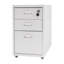 Lamekia 11'' Wide 3 -Drawer Mobile File Cabinet-1552543109