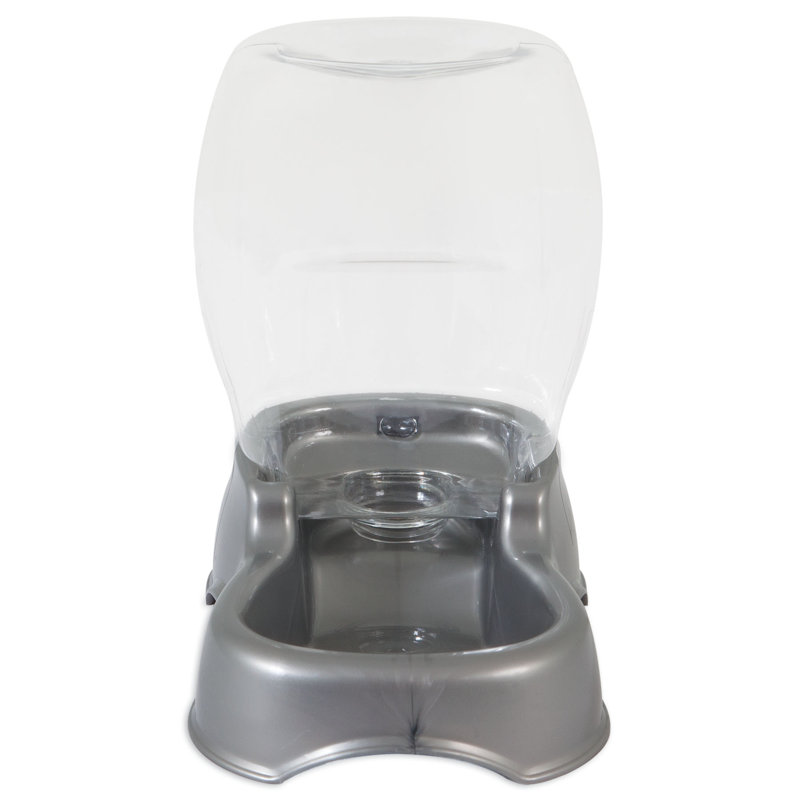 Plat à eau automatique Pet Cafe, Gris, 32 oz