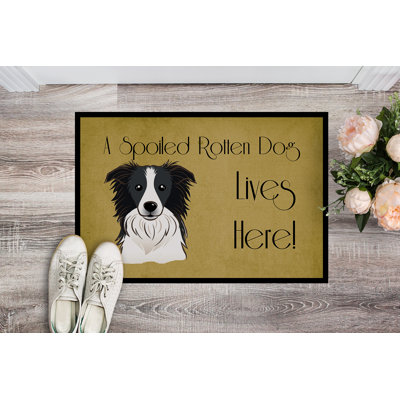 Tapis d'extérieur antidérapant Volga Border Collie