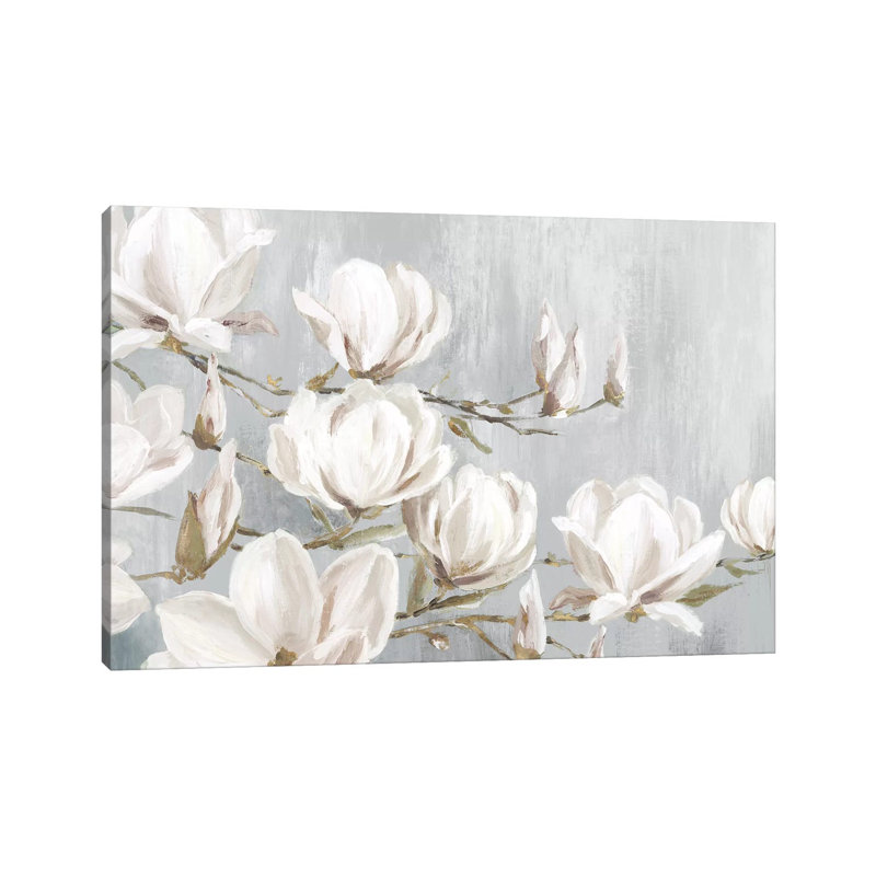 White Magnolia by Eva Watts - Wrapped Canvas Print, Wrapped Canvas, 30.48 cm H x 45.72 cm W