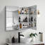 Double Door Mirror Medicine Cabinet