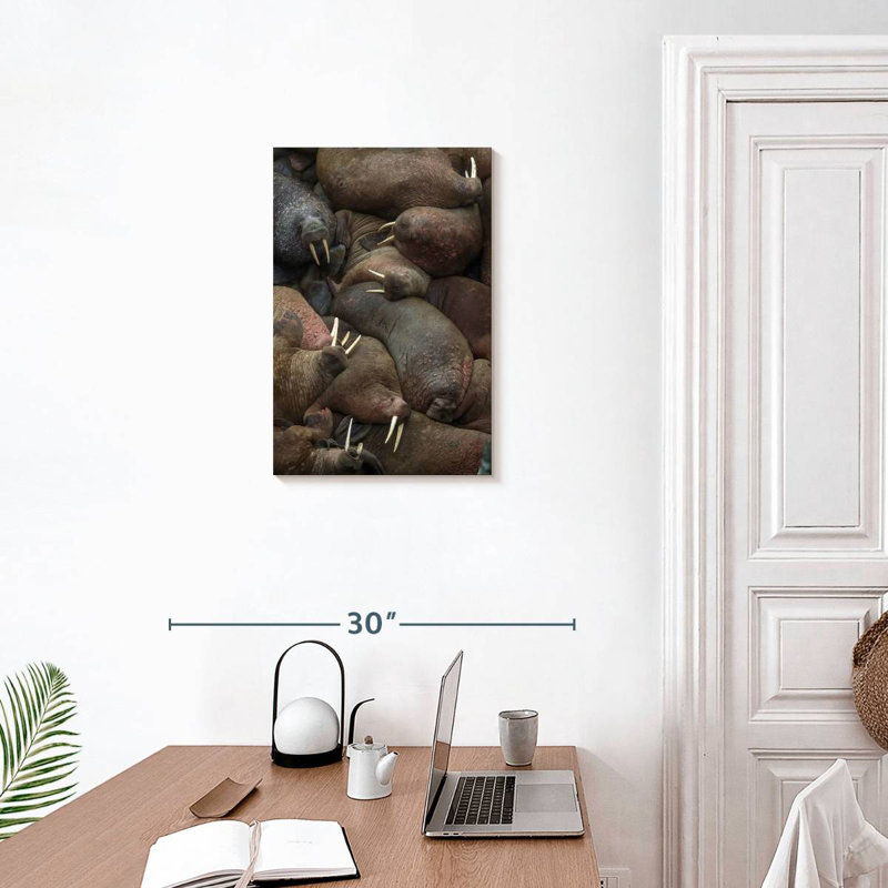 Brampt Walrus Rookery, 24" H x 16" W